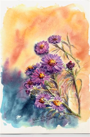 Asters