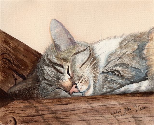 Chatte Ma Lilli