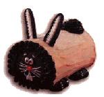 Lapin
