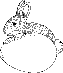 lapin1