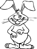lapin3